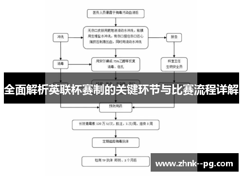 全面解析英联杯赛制的关键环节与比赛流程详解