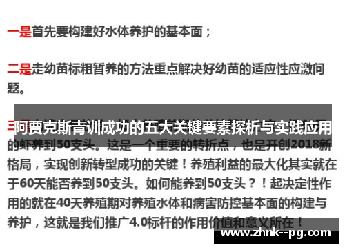 阿贾克斯青训成功的五大关键要素探析与实践应用 阿贾克斯青训成功的五大关键要素探析与实践应用