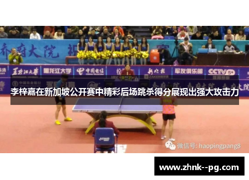 李梓嘉在新加坡公开赛中精彩后场跳杀得分展现出强大攻击力 李梓嘉在新加坡公开赛中精彩后场跳杀得分展现出强大攻击力