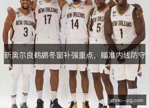 新奥尔良鹈鹕冬窗补强重点,瞄准内线防守 新奥尔良鹈鹕冬窗补强重点,瞄准内线防守